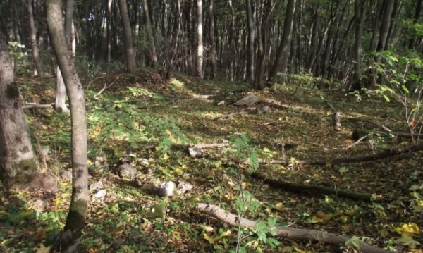 Вбивчий недобуд, місця жертвоприношень, аномалії і не тільки: моторошні місця Тернопільщини, від яких стигне кров