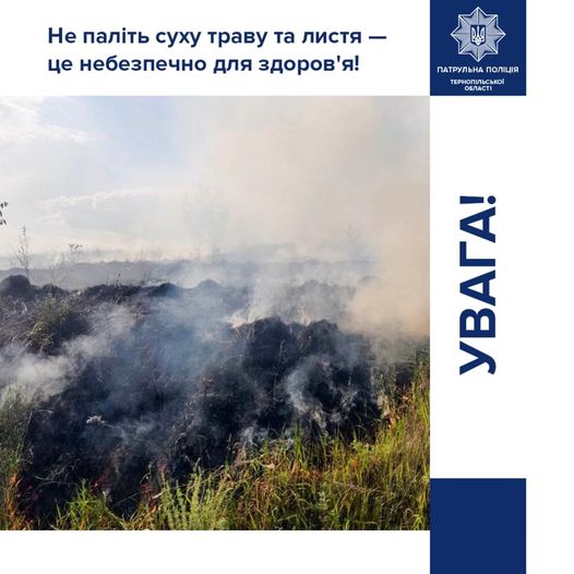 Рятувальники боролись з вогнем, який охопив житлову будівлю в Заліщиках