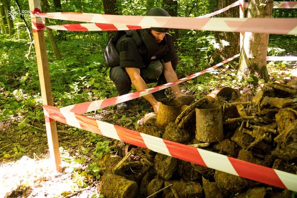 
У лісі на Тернопіллі в одному місці знайшли 49 боєприпасів часів Другої світової війни (фото)