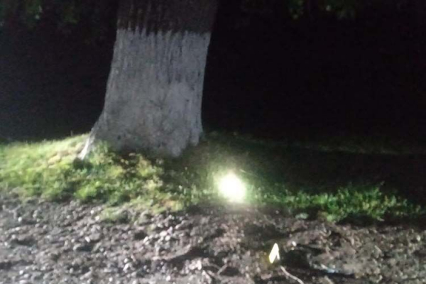 На Тернопільщині 15-річний юнак влетів на мопеді у дерево