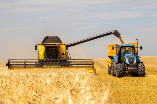 
Тернопільщина лідирує в Україні за врожайністю ранніх зернових культур