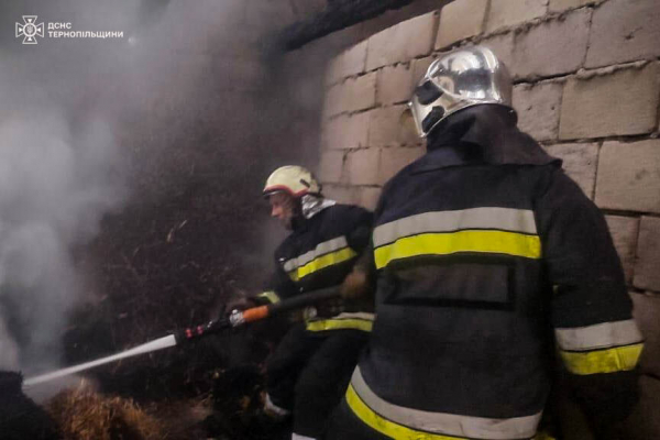 На Тернопільщині масштабна пожежа: горить господарство