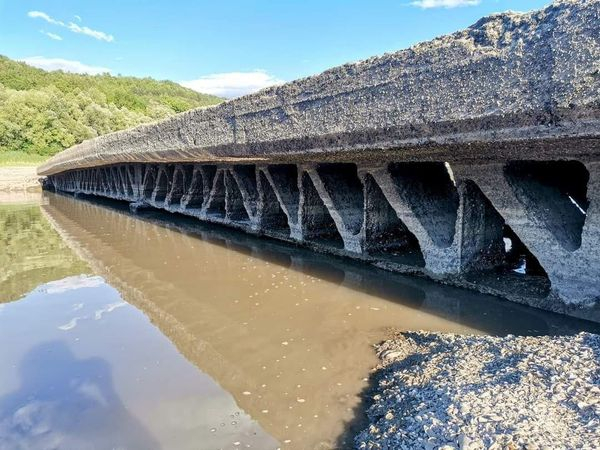 Через значне зменшення рівня води у Дністрі стало видно старий міст часів німецької окупації (фото)
Через значне зменшення рівня води у Дністрі стало видно старий міст часів німецької окупації (фото)