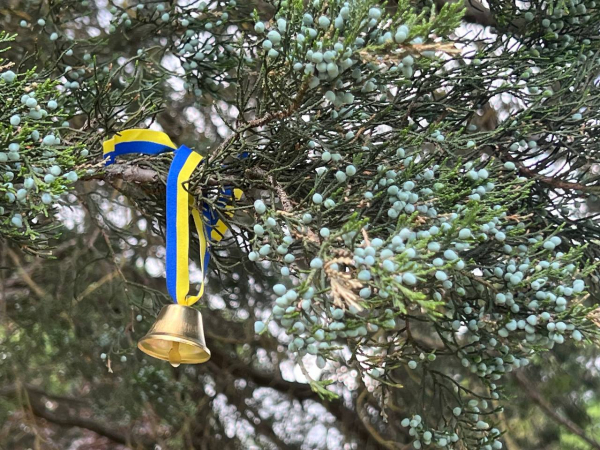 Тернополяни вшанували памʼять про дітей, що загинули під час війни