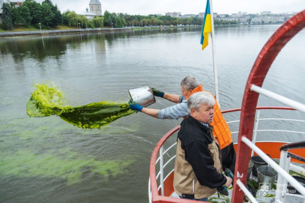 У Тернопільський став вилили 200 кг водоростей, які мають його очищувати