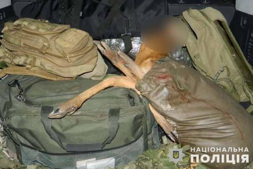 
А в багажнику - мертва косуля: на Чортківщині патрульні зупинили авто з браконьєрами