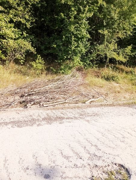 
У Гусятині ще з минулого року на узбіччях доріг купами лежать зрізані кущі (фото)