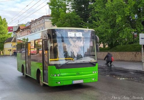 
На вихідні неможливо добратися додому: жителі Великої Березовиці скаржаться на тернопільські маршрутки