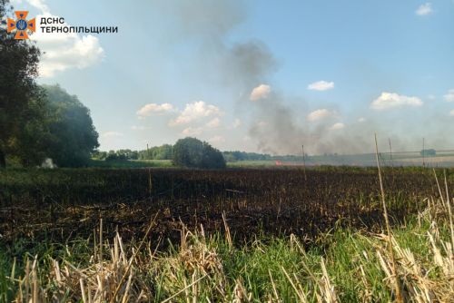 
На Чортківщині за день гасили дві пожежі сухої трави (фото)