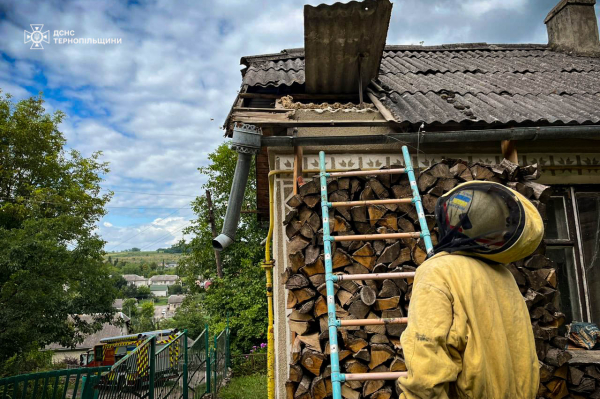 Кажани поселились на підшивці даху будинку в Острові неподалік Тернополя