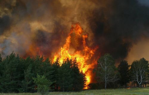 
Сьогодні на Тернопільщині високий ризик виникнення пожеж
