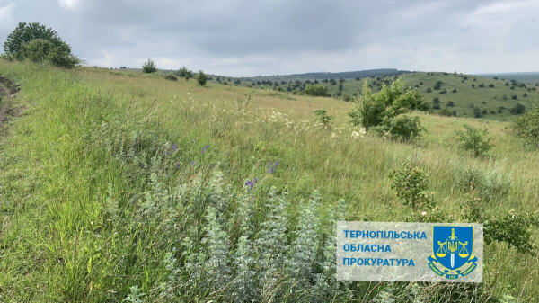 
Землі заповідника незаконно передала в оренду селищна рада на Тернопільщині
