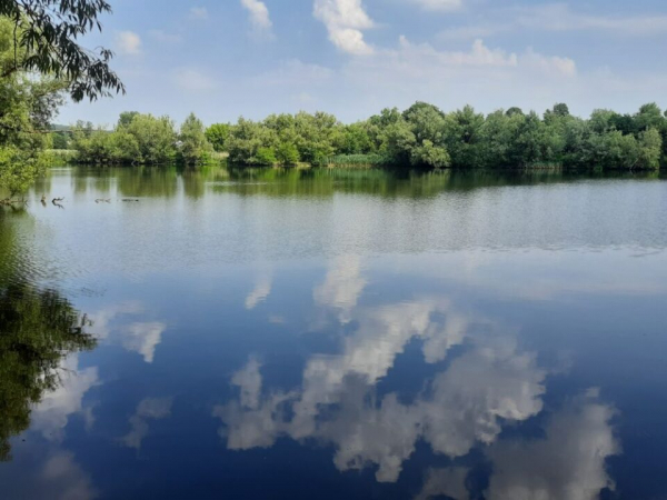 На базі відпочинку біля Тернополя підприємець незаконно обмежив доступ до ставка