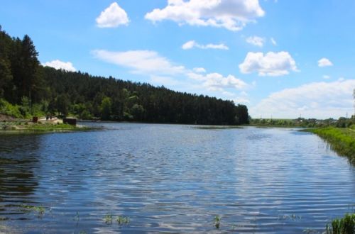 
Фахівці закликають не купатися в Шумському озері: є ризик інфекційних захворювань