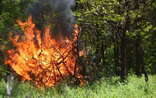 
Про пожежну небезпеку та прийняті заборони повідомили у заповіднику на Тернопільщині