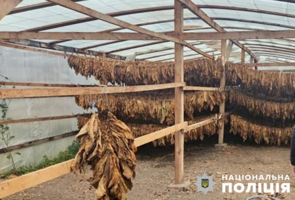
На Тернопільщині викрили цілу «бізнес-групу» з підпільного виробництва тютюну (фото)