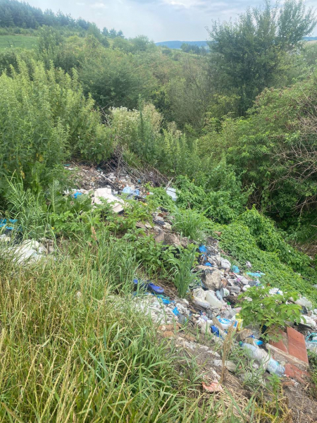 
Екологи виявили на Бережанщині 14 масових сміттєзвалищ (фото)