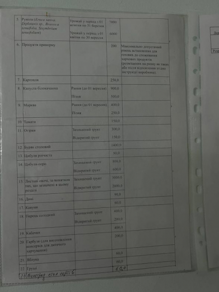 «20 хвилин» перевірили кавуни, дині на вміст нітратів: чи безпечно купувати на ринку Тернополя