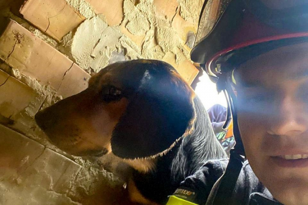 Не міг сам вибратись: тернопільські рятувальники визволили собаку