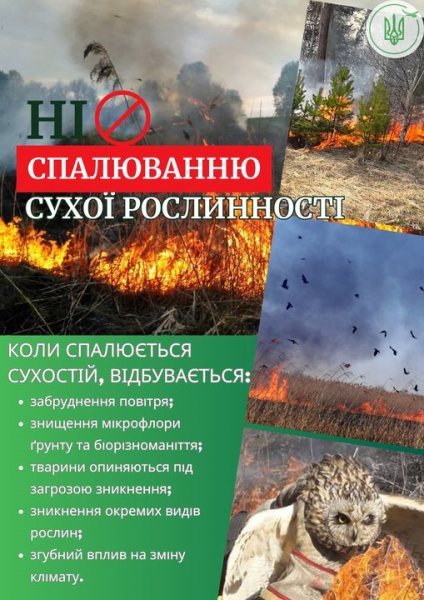 
На Тернопіллі громадянам загрожує від 3 060 до 6 120 гривень штрафу за спалювання сухої трави