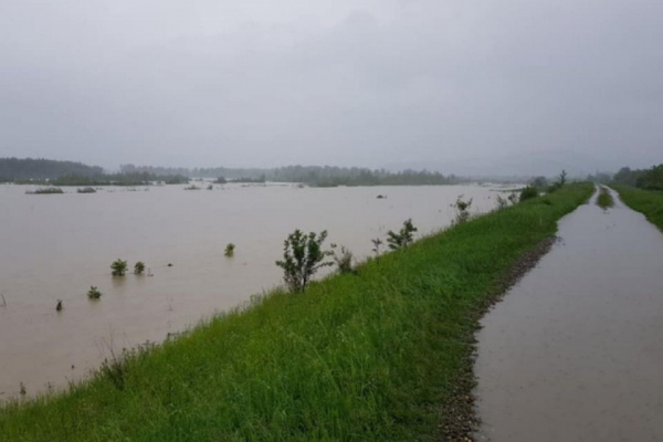 Рятувальники попереджають про грози та ймовірне підвищення рівня води у річках