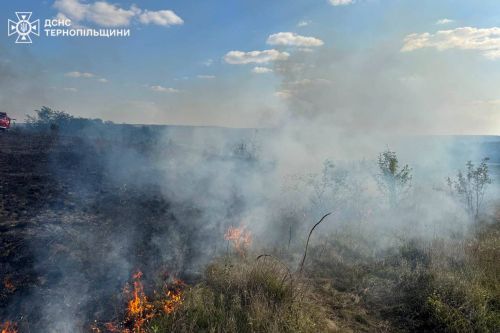 На Чортківщині гасили масштабну пожежу сухої трави (фото)
На Чортківщині гасили масштабну пожежу сухої трави (фото)