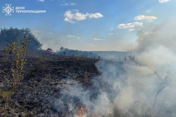 На Чортківщині гасили масштабну пожежу сухої трави (фото)
На Чортківщині гасили масштабну пожежу сухої трави (фото)