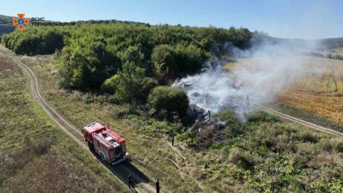 
Масштабну пожежу виявили за допомогою дрона на Тернопіллі, яка могла перекинутися на 300 гектарів лісу (фото, відео)