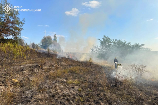 На Чортківщині гасили масштабну пожежу сухої трави (фото)
На Чортківщині гасили масштабну пожежу сухої трави (фото)
