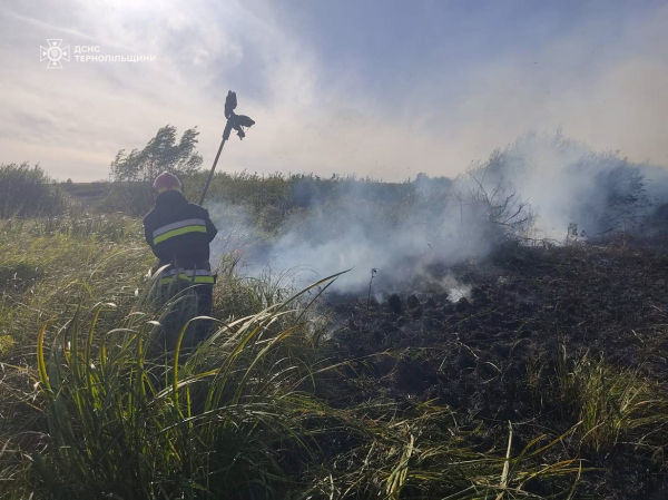 На Тернопільщині від початку року люди спалили сотні гектарів землі