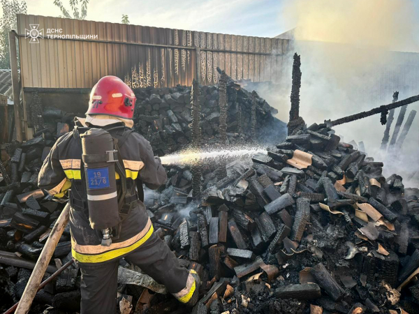 На Тернопільщині від початку року люди спалили сотні гектарів землі