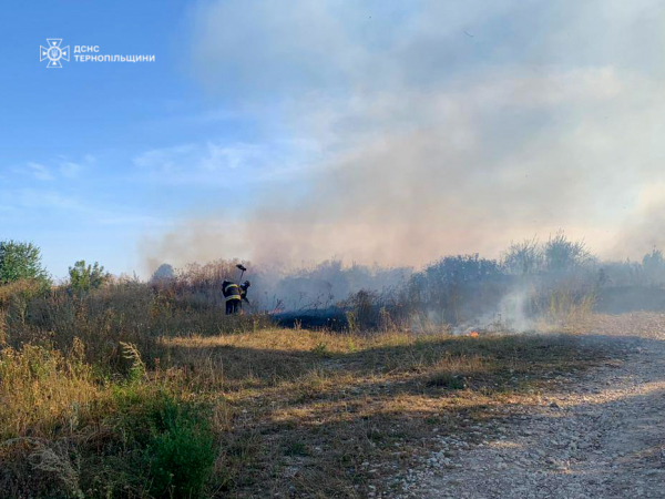 На Тернопільщині від початку року люди спалили сотні гектарів землі