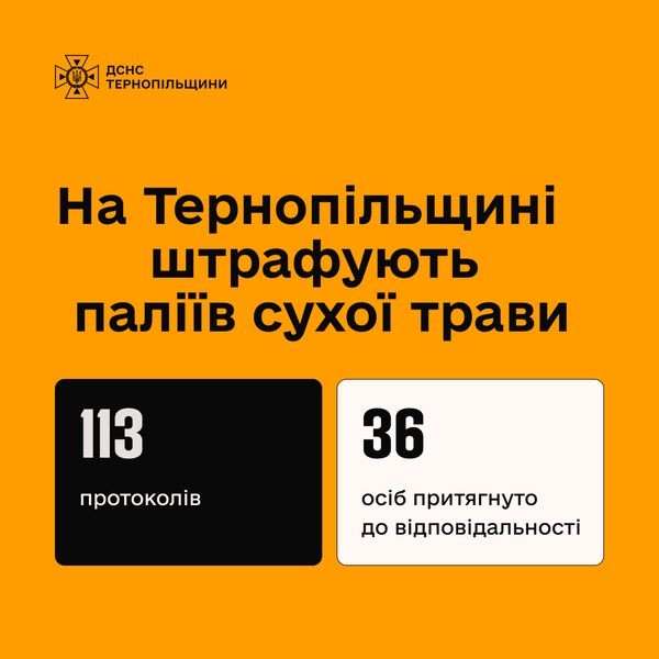 
113 жителів Тернопільщини оштрафували за спалювання сухої трави (фото)