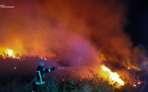 
У Збаражі за день виникли три пожежі