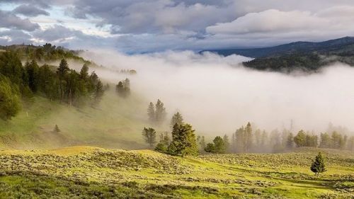 
Водіїв попереджають про сильний туман на дорогах Тернопільщини