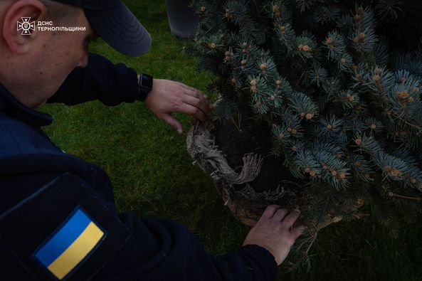 
Тернопільські рятувальники висадили молоді дерева – символи життя, відновлення та пам’яті (фото)