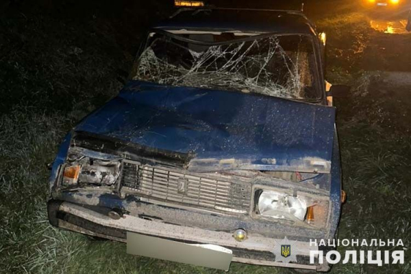 На Чортківщині на узбіччі дороги авто збило пенсіонера