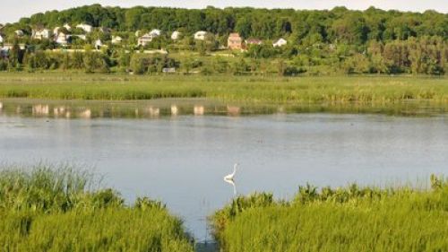 
На Тернопіллі повернуто у власність держави землі заказника «Товтровий степ» площею 7 гектарів