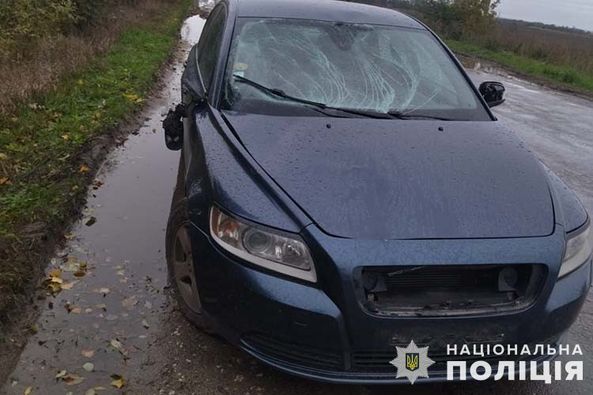 
На Тернопільщині водій автомобіля "Вольво" збив лося (фото)