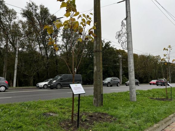 У Тернополі висадили іменні дерева за донат на ЗСУ