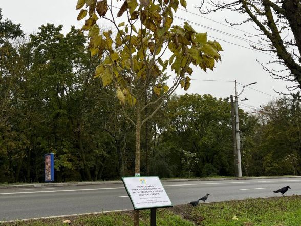 У Тернополі висадили іменні дерева за донат на ЗСУ