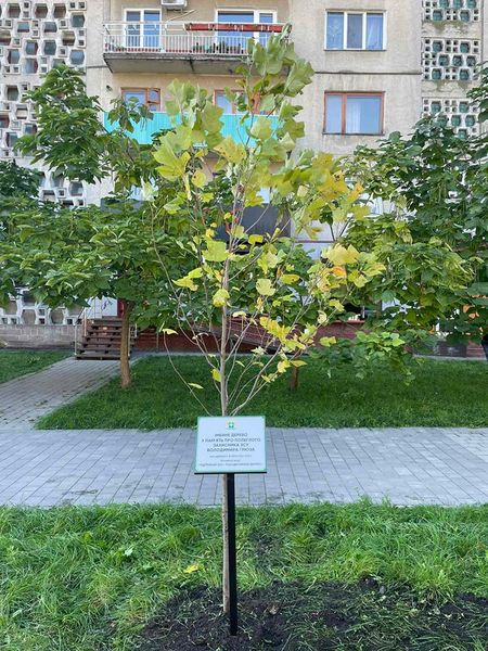 
У Тернополі висадили дерево у пам'ять про загиблого колегу-захисника (фото)