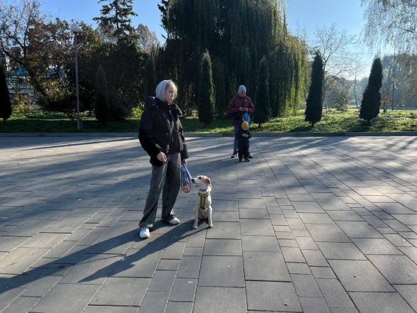 Біжимо, аби підтримати безпритульних тварин: у Тернополі відбувся «ВусоЛапоХвіст»