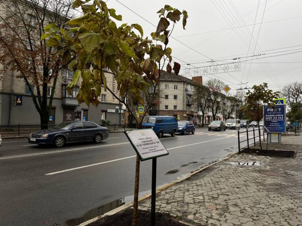 У Тернополі висадили іменні дерева за донат на ЗСУ