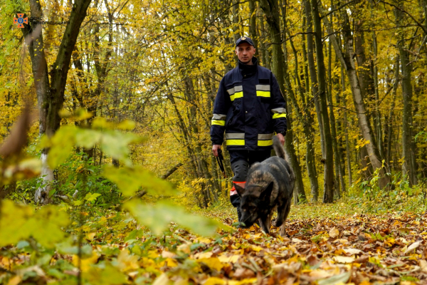 На Тернопільщині другу добу розшукують у лісах пенсіонерку, яка пішла по гриби та зникла