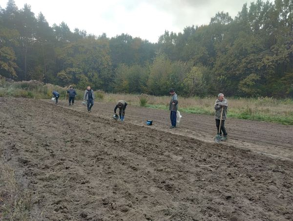 
На Тернопіллі заклали лісовий розсадник, де висіяно близько 600 кг жолудя дуба (фото)