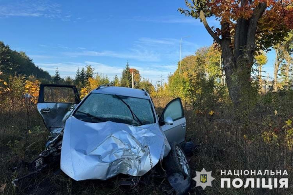 На Тернопільщині авто влетіло відразу у дві електроопори