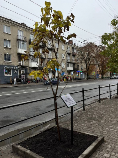 У Тернополі висадили іменні дерева за донат на ЗСУ