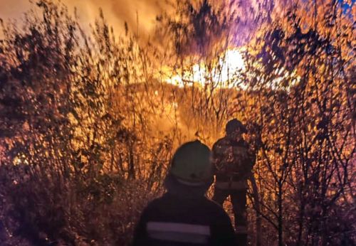 
У дачному кооперативі на Тарнавського сталася масштабна пожежа (фото, відео)