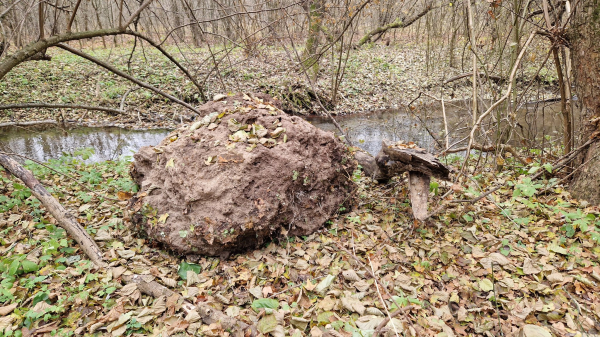 
На Тернопільщині обвалилася травертинова скеля з водоспадом "Дівочі сльози" (фото)